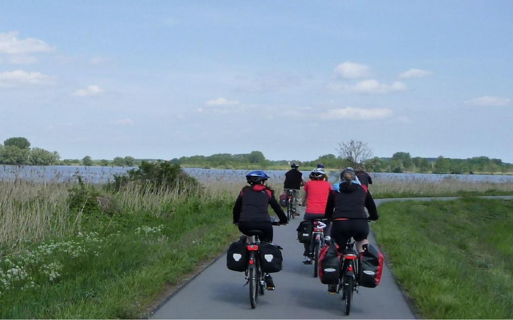 Havel cycle path, Photo: Tourismusverband Havelland e.V.