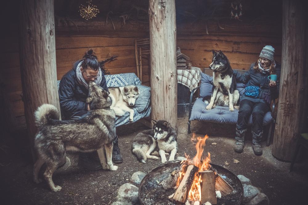 Huskies by the fire, Photo: J. Friedrich