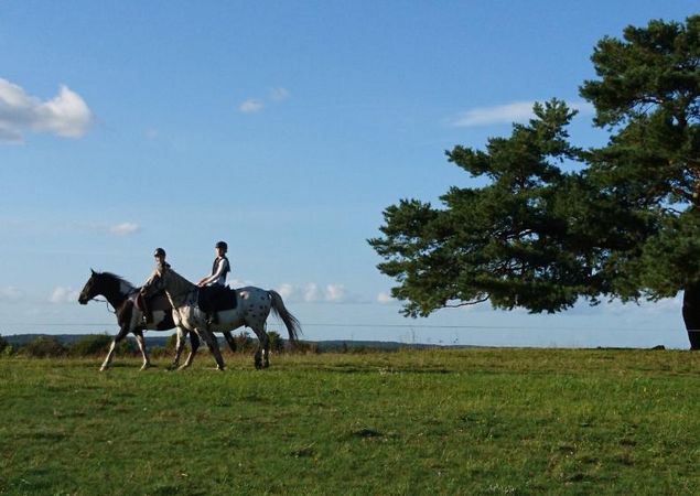 Riding out under the favourite tree, Photo: Juliane Rensch