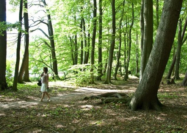 Ruppiner Land circular hiking trail, Photo: Studio Prokopy