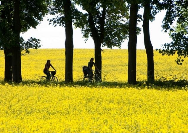 Stechlin Nature Park - Ruppiner Land