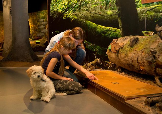 Naturerlebnis mit der ganzen Familie im Müritzeum, Foto: Mirko Runge, Lizenz: Müritzeum gGmbH