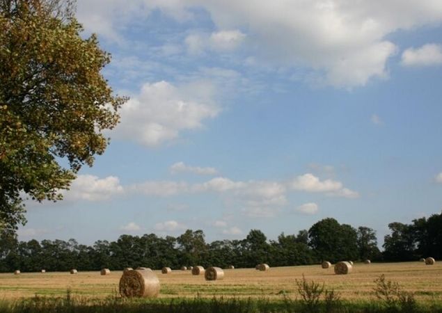 Stechlin Nature Park - Ruppiner Land