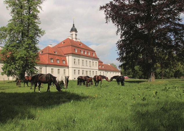 Main stud farm, Photo: OPR district, Licence: SBHLG