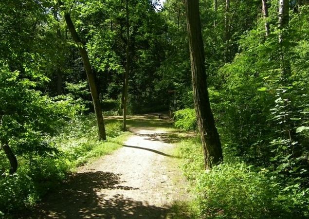 Stechlin Nature Park - Ruppiner Land Stechlin Nature Park - Ruppiner Land