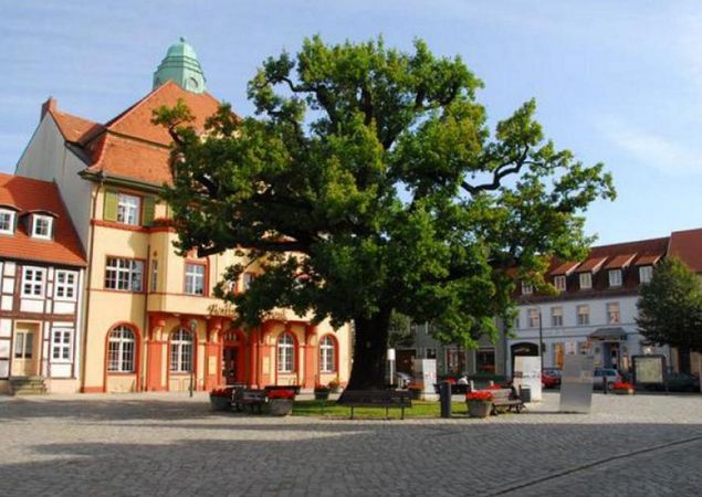 Marktplatz mit Friedenseiche, Foto: Konstantin Normann, Lizenz: TMB Tourismus-Marketing Brandenburg GmbH Marktplatz mit Friedenseiche, Foto: Konstantin Normann, Lizenz: TMB Tourismus-Marketing Brandenburg GmbH
