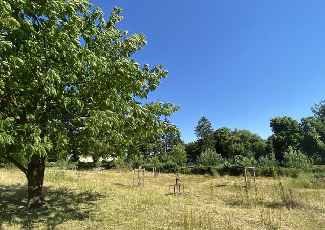 Orchard meadow monastery Zehdenick, photo: Elisabeth Kluge, license: Tourist-Information Zehdenick