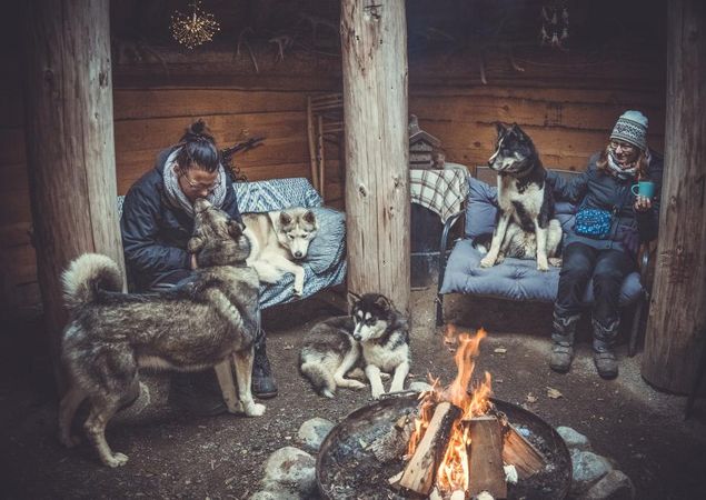 Huskies by the fire, Photo: J. Friedrich