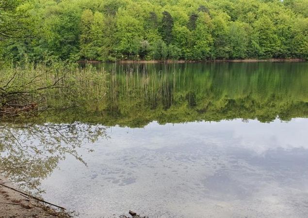 Bathing area at Lake Peetsch, Photo: REGiO Nord Tammer Bathing area at Lake Peetsch, Photo: REGiO Nord Tammer