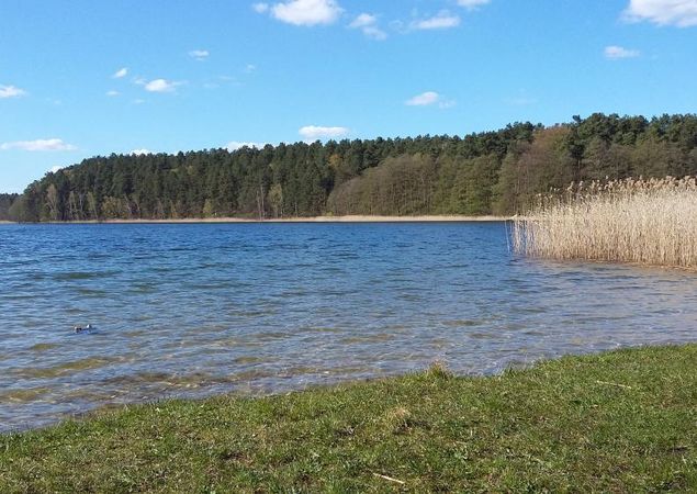 Photo : Tourismusverband Ruppiner Seenland e.V.