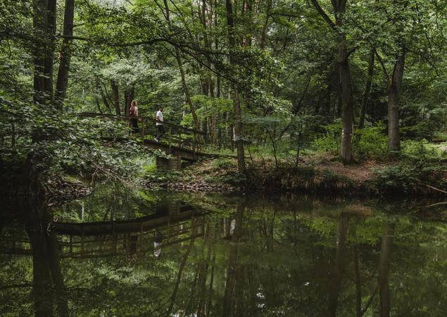 Hikers on a bridge over the Hegensteinbach, Photo: Madlen Krippendorf, License: City of Fürstenberg/Havel
