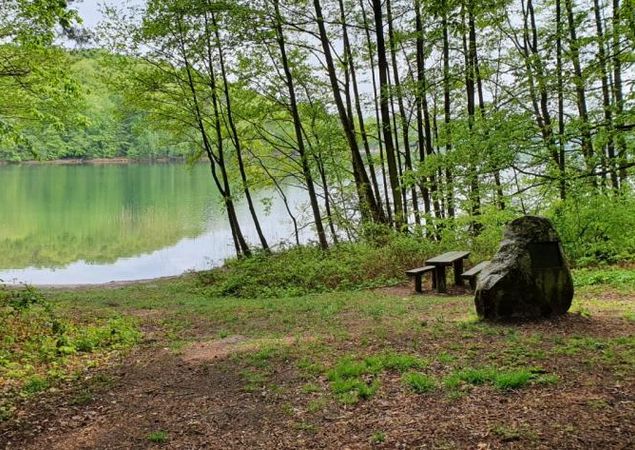 Bathing area at Lake Peetsch, Photo: REGiO Nord Tammer Bathing area at Lake Peetsch, Photo: REGiO Nord Tammer