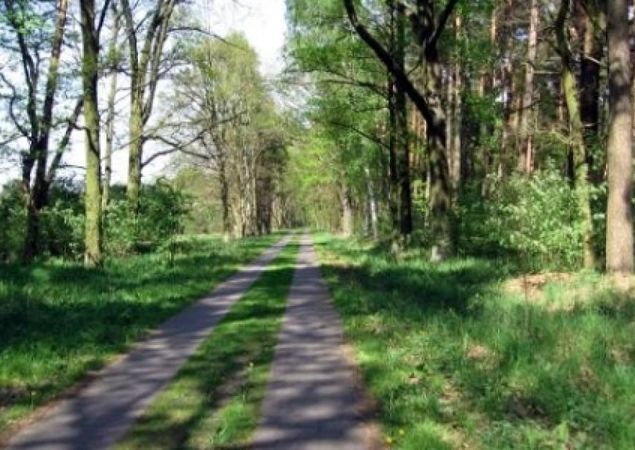 Landscape near Nauen, Photo: TMB Tourismus-Marketing Brandenburg GmbH, Licence: TMB Tourismus-Marketing Brandenburg GmbH Landscape near Nauen, Photo: TMB Tourismus-Marketing Brandenburg GmbH, Licence: TMB Tourismus-Marketing Brandenburg GmbH