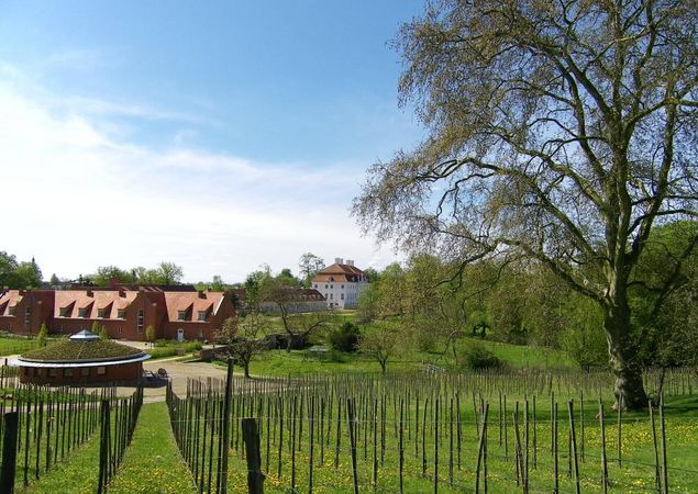 Schlosswirt Meseberg, Photo: Tourismusverband Ruppiner Seenland e.V., Licence: Tourismusverband Ruppiner Seenland e.V.