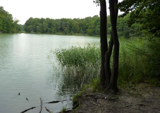 Hellsee © WITO Barnim/ Fotograf L. Lamprecht Hellsee © WITO Barnim/ Fotograf L. Lamprecht