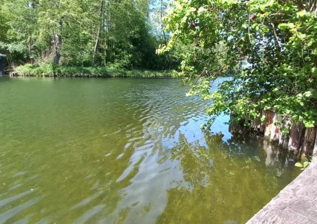 Biwak und Gastliegeplatz Steinförde, Foto: Rhea Knaak, Lizenz: REGiO-Nord Biwak und Gastliegeplatz Steinförde, Foto: Rhea Knaak, Lizenz: REGiO-Nord