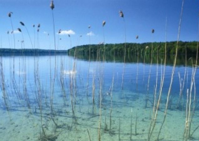 Stechlinsee - Schilfgürtel, Foto: Tourismusverein Fürstenberger Seenland e.V. Stechlinsee - Schilfgürtel, Foto: Tourismusverein Fürstenberger Seenland e.V.