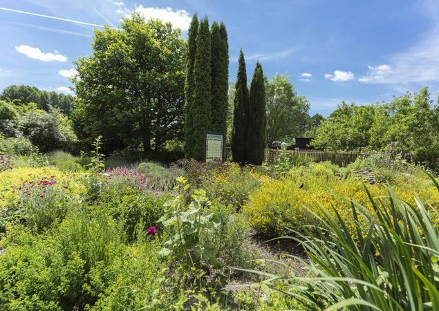 Himmelpfort Monastery Herb Garden, Photo: TMB Photo Archive/Steffen Lehmann