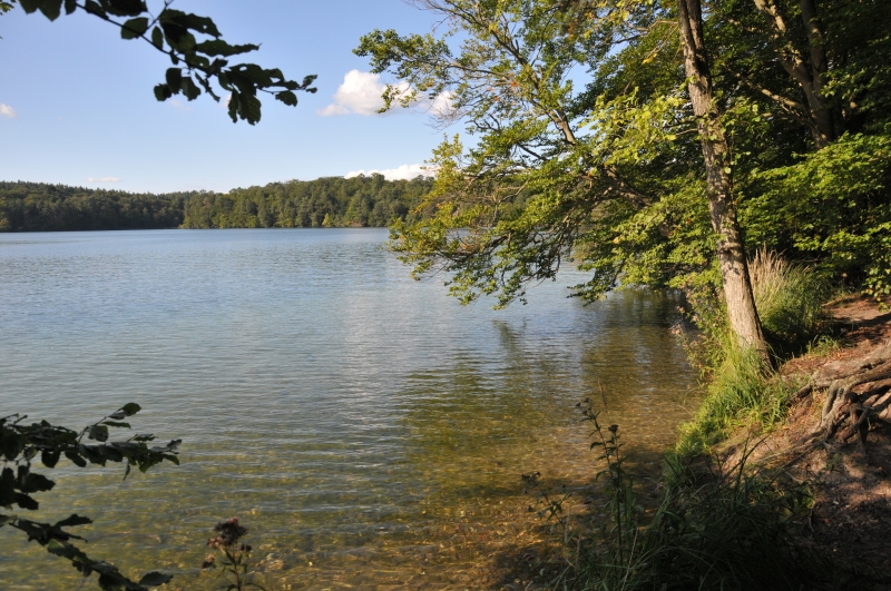 Stechlinsee - Ufer