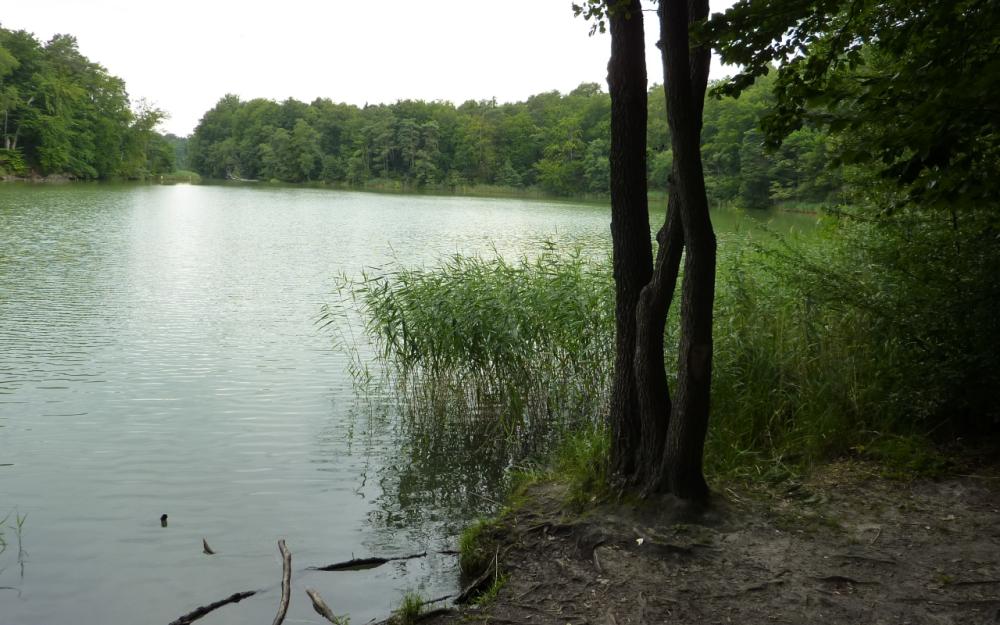 Hellsee © WITO Barnim/ Fotograf L. Lamprecht Hellsee © WITO Barnim/ Fotograf L. Lamprecht