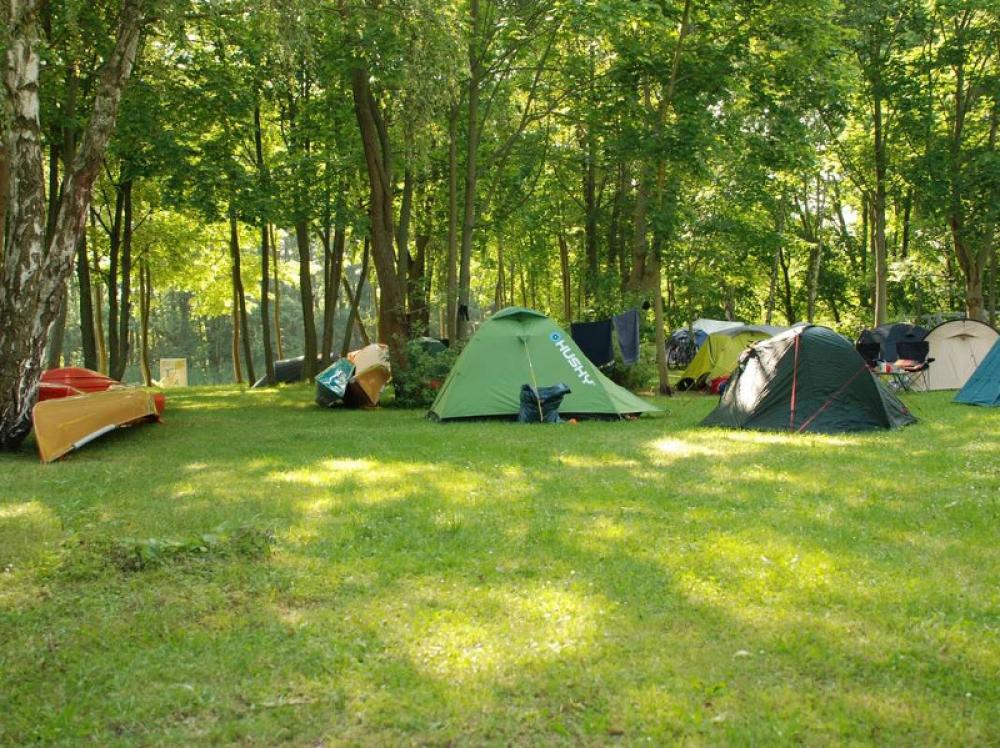 Camping site Marina Alter Hafen