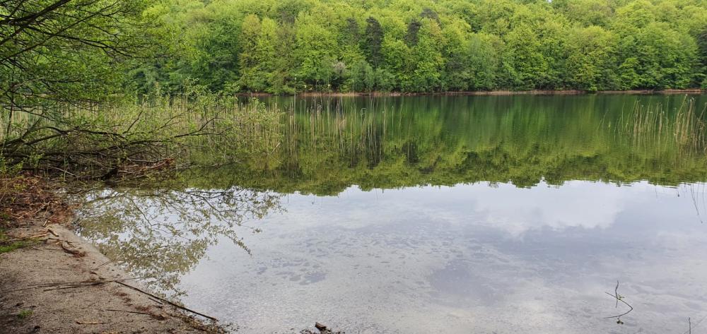 Bathing area at Lake Peetsch, Photo: REGiO Nord Tammer Bathing area at Lake Peetsch, Photo: REGiO Nord Tammer