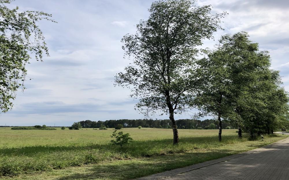 Unterwegs bei Burow, Foto: Itta Olaj, Lizenz: TV Ruppiner Seenland Unterwegs bei Burow, Foto: Itta Olaj, Lizenz: TV Ruppiner Seenland