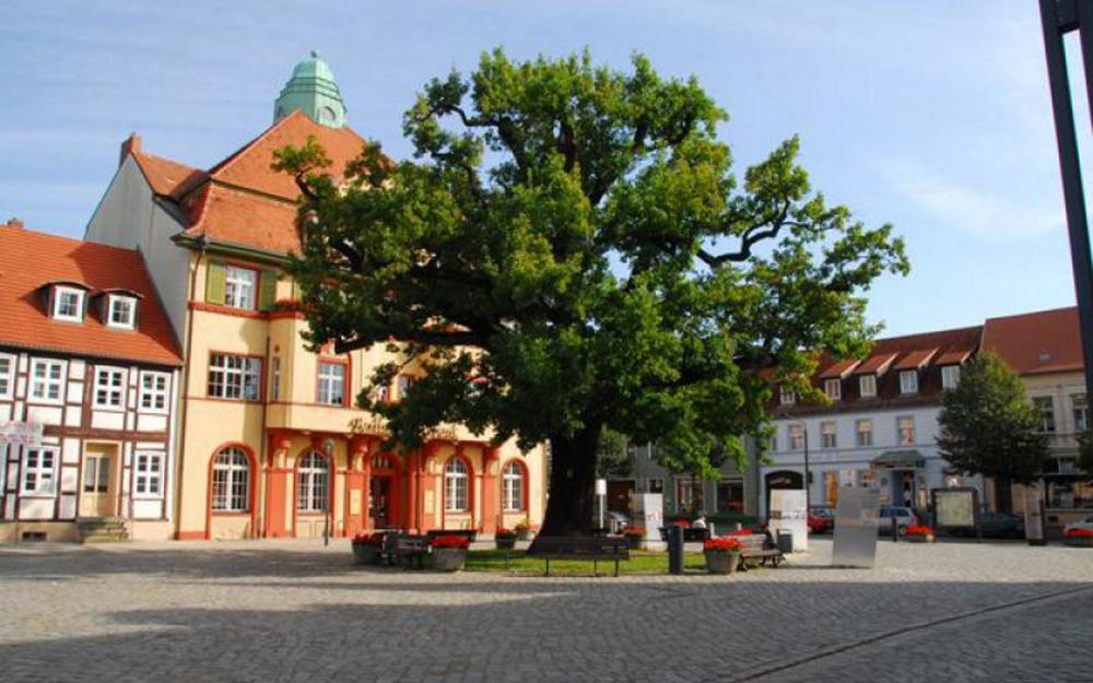 Marktplatz mit Friedenseiche, Foto: Konstantin Normann, Lizenz: TMB Tourismus-Marketing Brandenburg GmbH Marktplatz mit Friedenseiche, Foto: Konstantin Normann, Lizenz: TMB Tourismus-Marketing Brandenburg GmbH