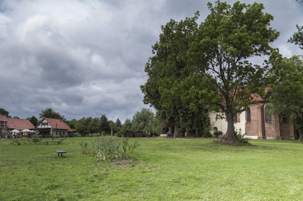 Cistercian Monastery Ruins Himmelpfort