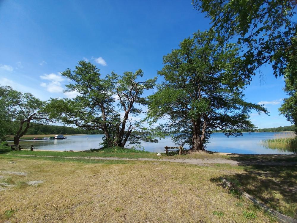 Bathing place at the Stolpsee (camping site), photo: Rhea Knaak, license: REGiO-Nord Bathing place at the Stolpsee (camping site), photo: Rhea Knaak, license: REGiO-Nord