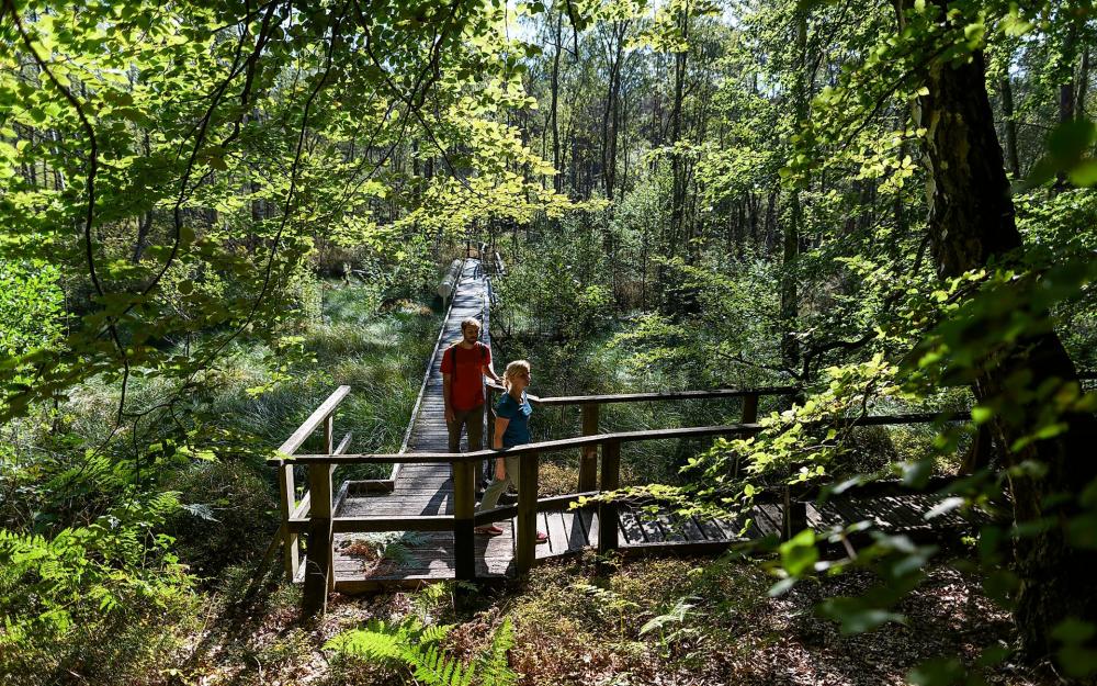 Nature discovery trail "From Moor to Moor" at Roofensee